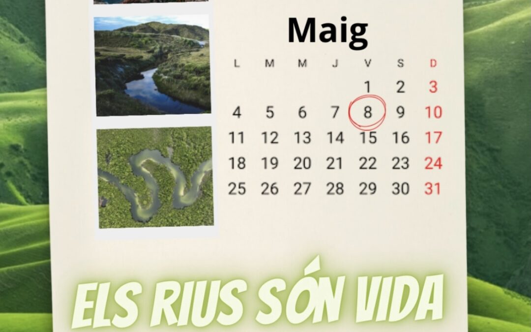 IX CONCURS FOTOGRÀFIC DE MEDI AMBIENT